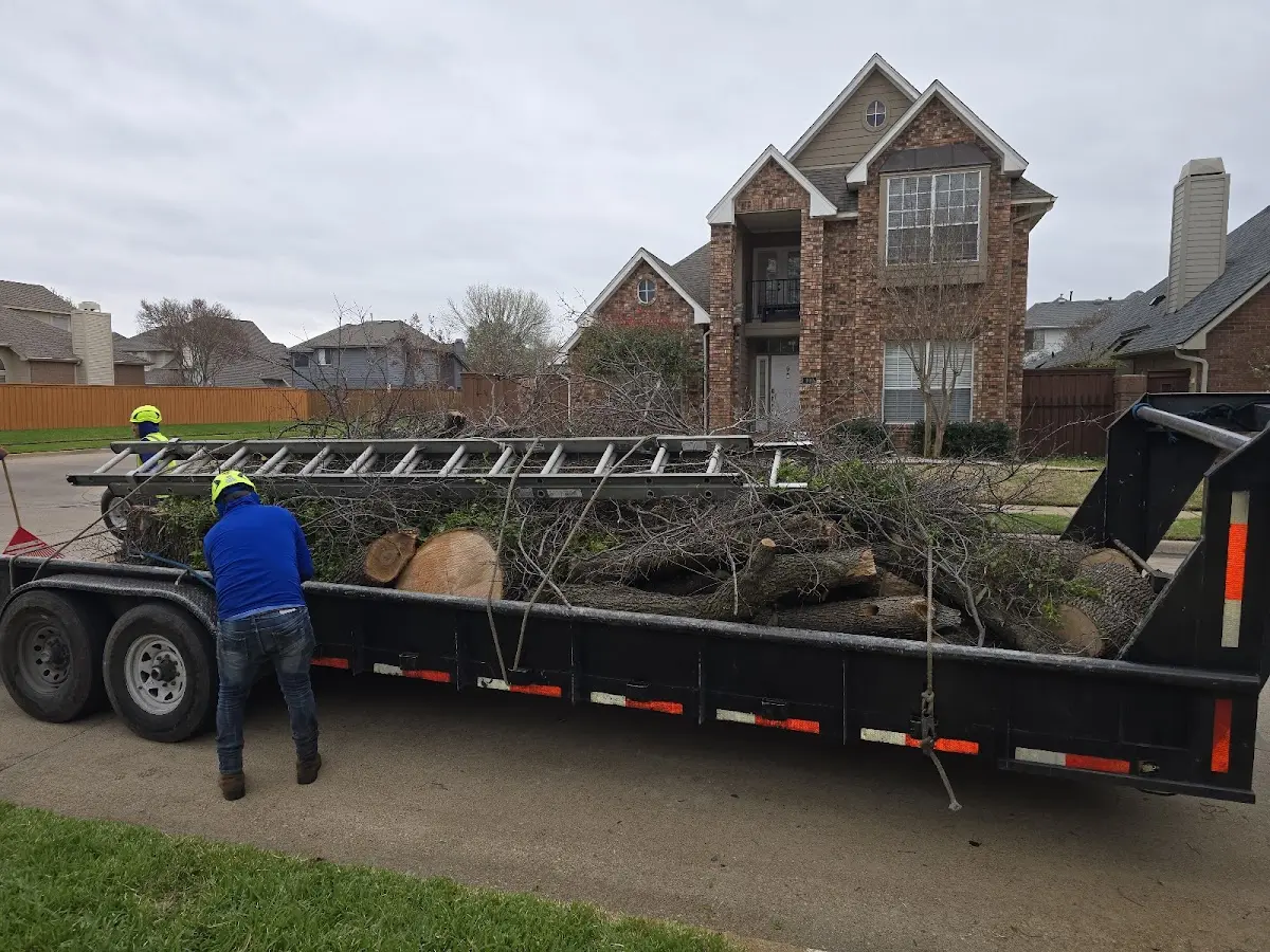 Expert Lot Clearing with proper safety equipment in Blackwater